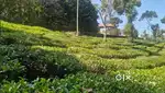 Idukki Pushpagiri 13 AC LA Pattayam Land for sale