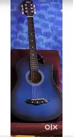 Acoustic Guitar
