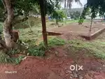 Plot for sale