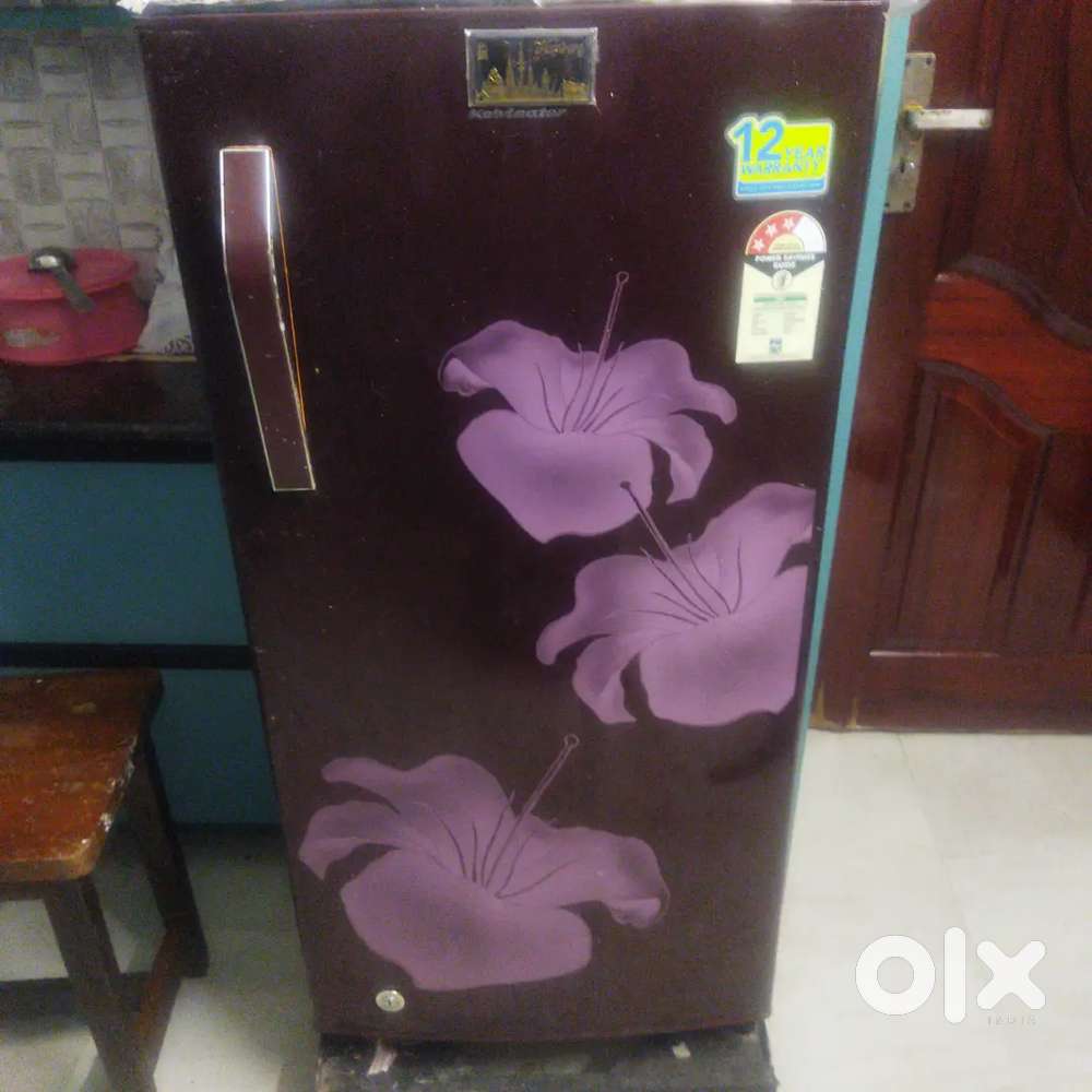 Kelvinator Fridge