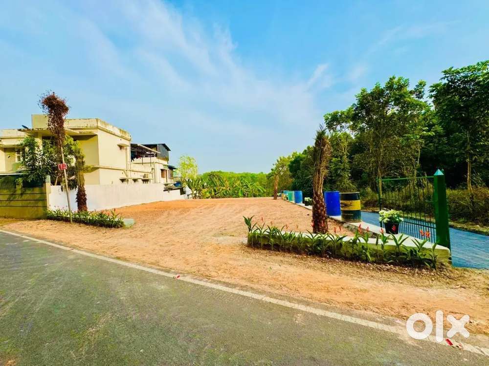 ORGINAL LAND FOR SALE 10. 8,5,CENTS  IDACHIRA THENGOD ROAD 400 MEETER