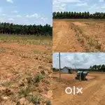 Agriculture land / farm land / farm house