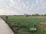 Commercial Land Highway ,Near Sakshi Hotel,coffee house,dominos Maihar