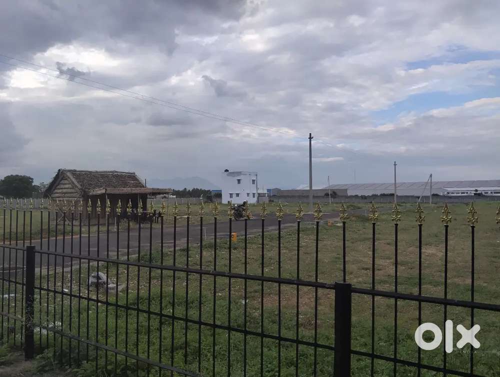 Divine construction one cent price 1250000