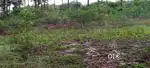 Karuda promotors Farm Land for sale in Mettuvavi (Chetti Palayam via)