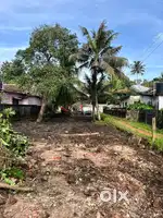 15 cent square plot at Alleppey Town