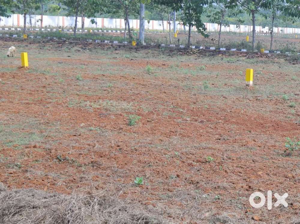 LAND FOR SALE, LOAN AVAILABLE.