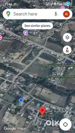 Engkhol  0.20point mafam Taothong lamsang
