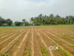 AGRICULTURE LAND LOACTED  IN NARASIURAM , centre of the locality