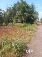 20 cent housing plot at thattumal padiyottichal
