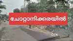 Ernakulam chottanikkara global school area plot for sale