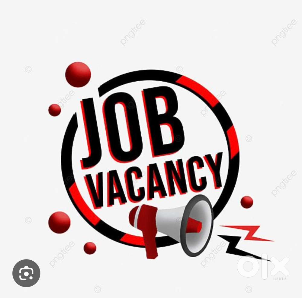 Urgent freshers required