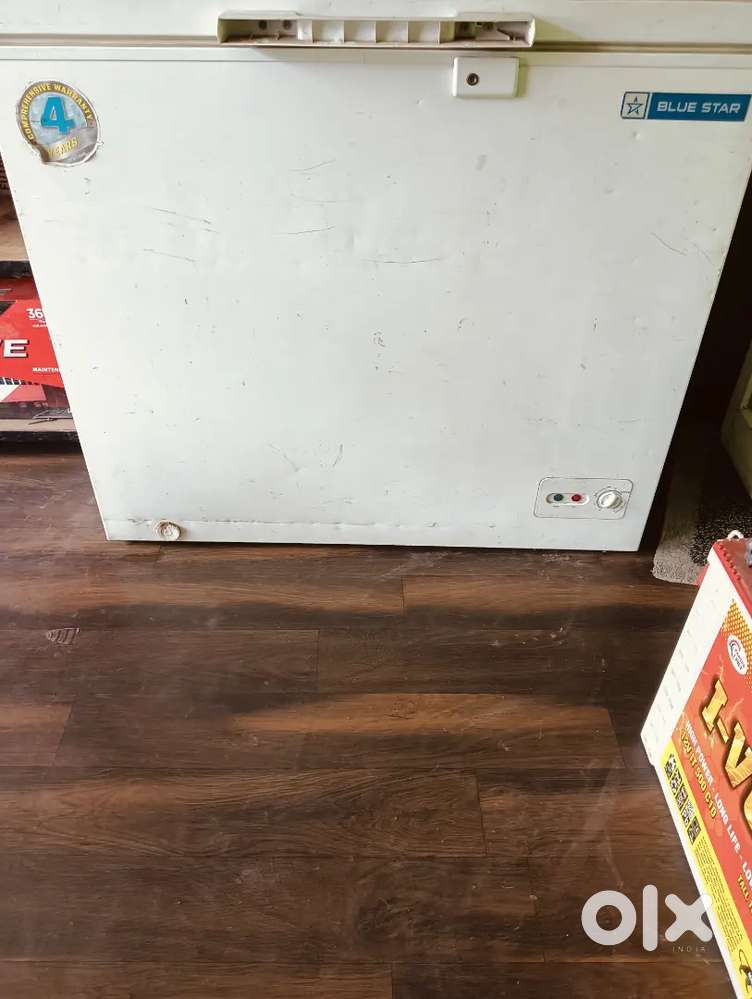 Blue Star 250 Ltr used commercial freezer