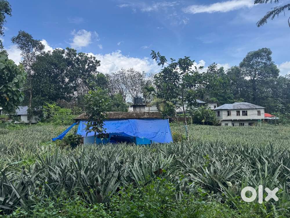 സ്ഥലം വിൽപ്പനയ്ക്ക്