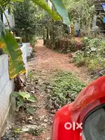 10 Cent Square Plot for Sale – Chelannur 7/6, Calicut