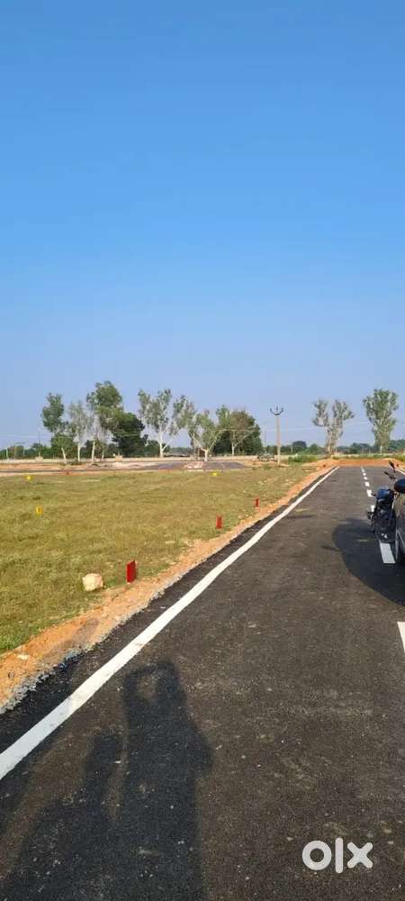 Sanwariya seth mandpiya temple ke pas