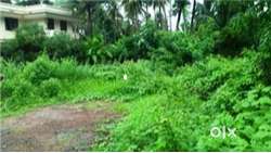 2.5 Acres land at Erumapetty