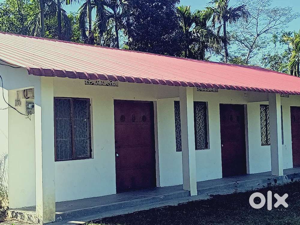 New rent house near Tilinga mandir, Bordubi