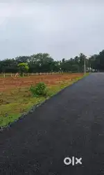 Good plot ever Very cheapest From Pollachi highway only 1.5 kms