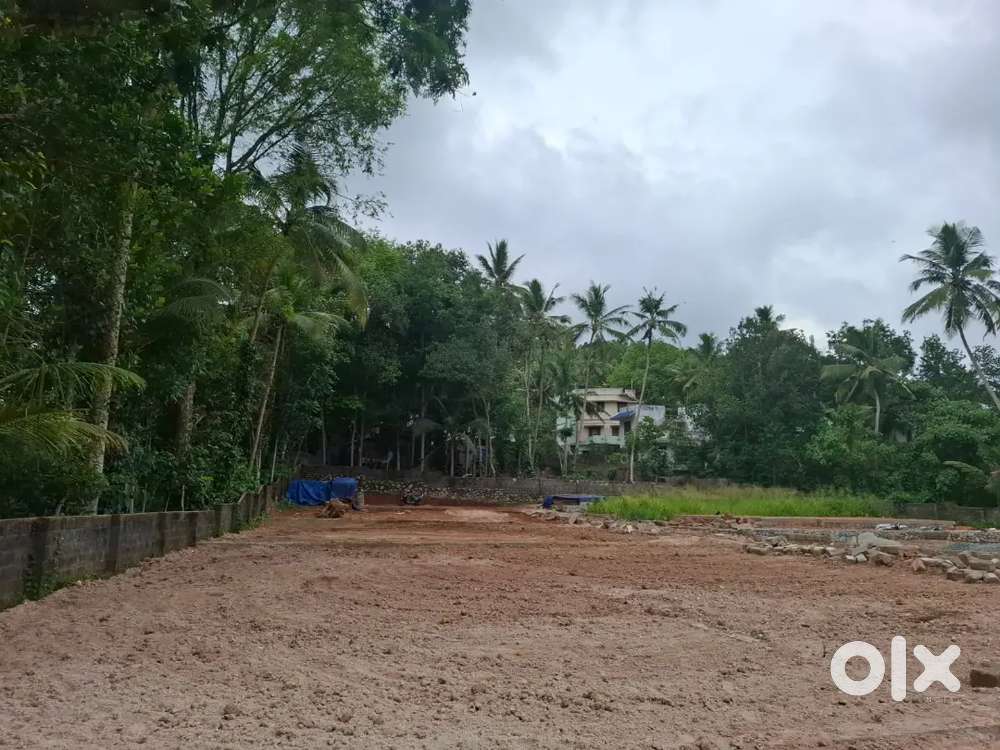 PAPPANAMCODE ESTATE PLOT FOR SALE.4.CENT.7.LAKH