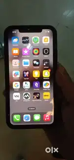 11 pro max