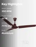 Celling Fan