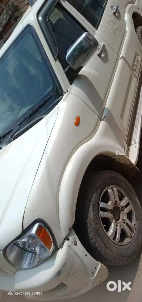 I'm a Driver with 7+ years experience