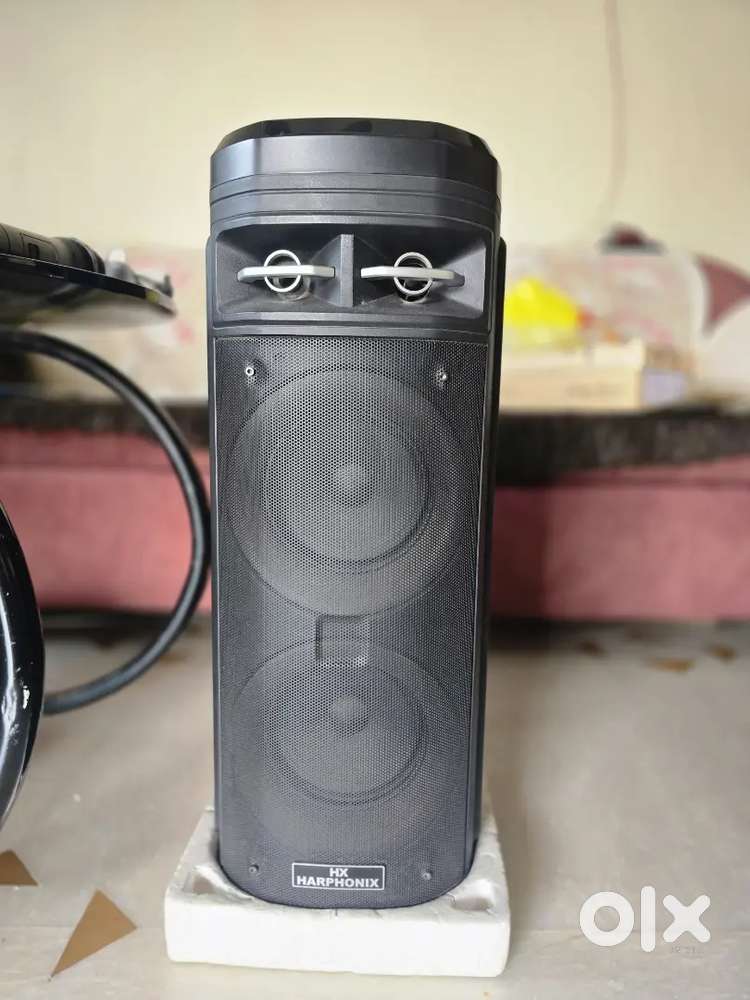 Home theater and karaoke system