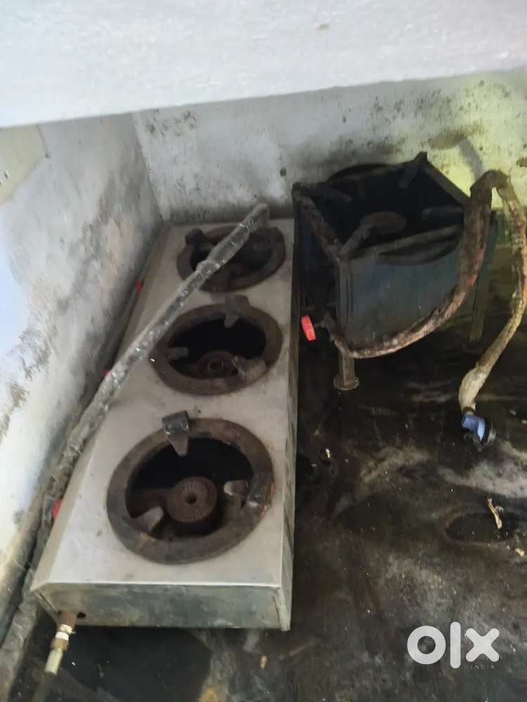 Tea time all appliances with licence