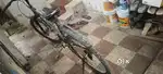 Kross eco cycle with gear 6 speed