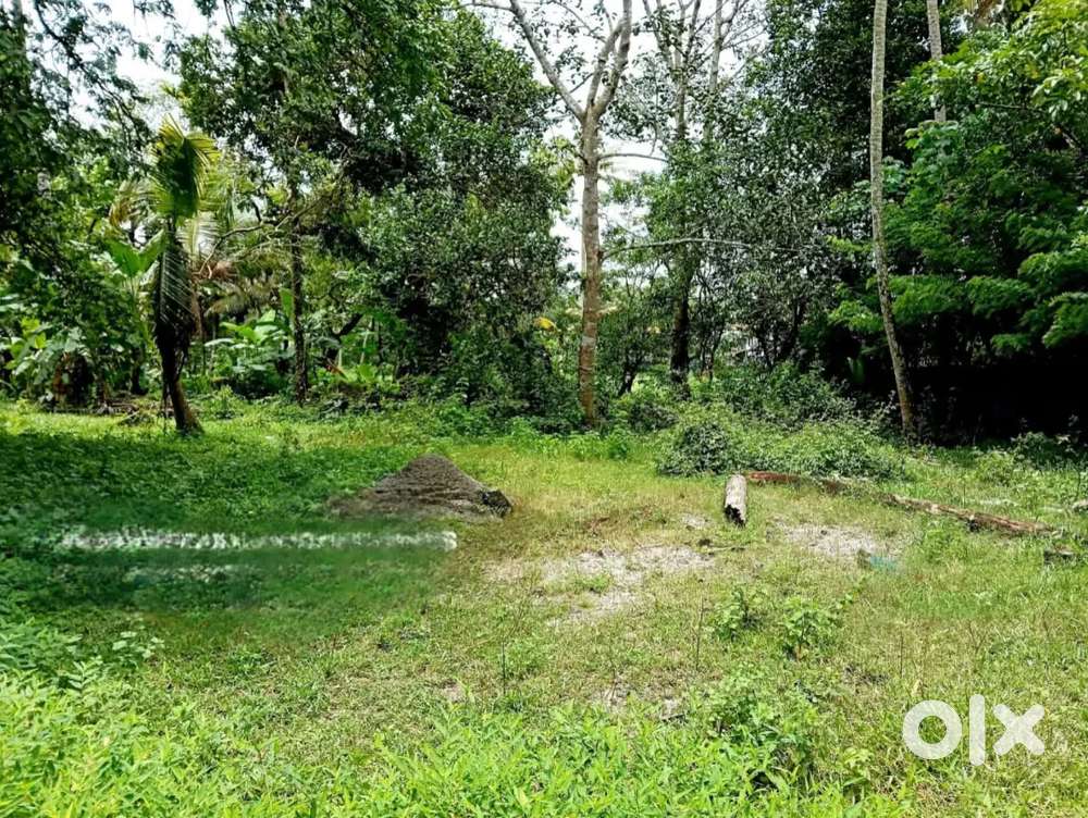 കണിച്ചുകുളങ്ങരയിൽ 9 സെന്റ് വസ്തു വിൽപ്പനയ്ക്ക്