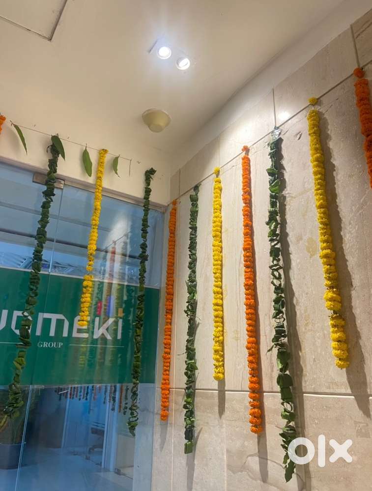 WOMEKI INVESTORS CLUB