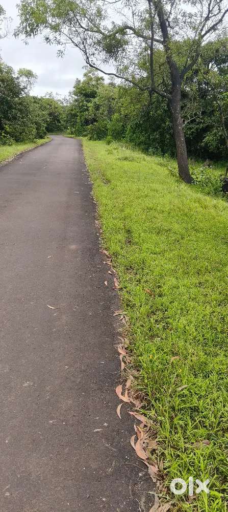 6.5 Acre open land for sale