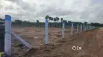 Vista Farm House Plots – Kinathukadavu Road