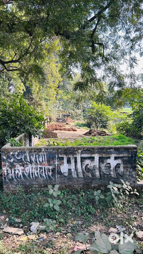 Near shukla tvs neear basvari shitla mandir samne