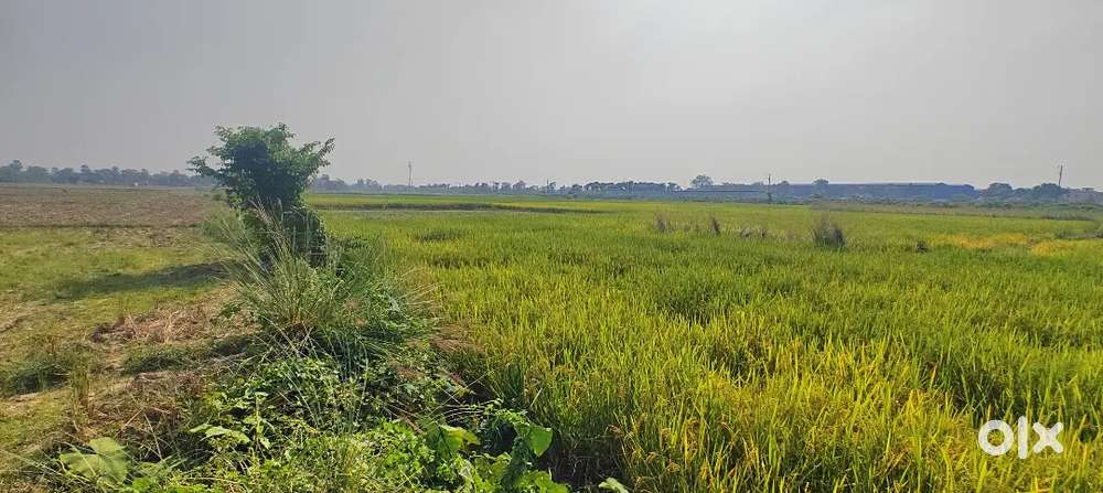 Rani Patra land for sale limited offer near railway junction
