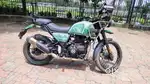 Pine Green 411