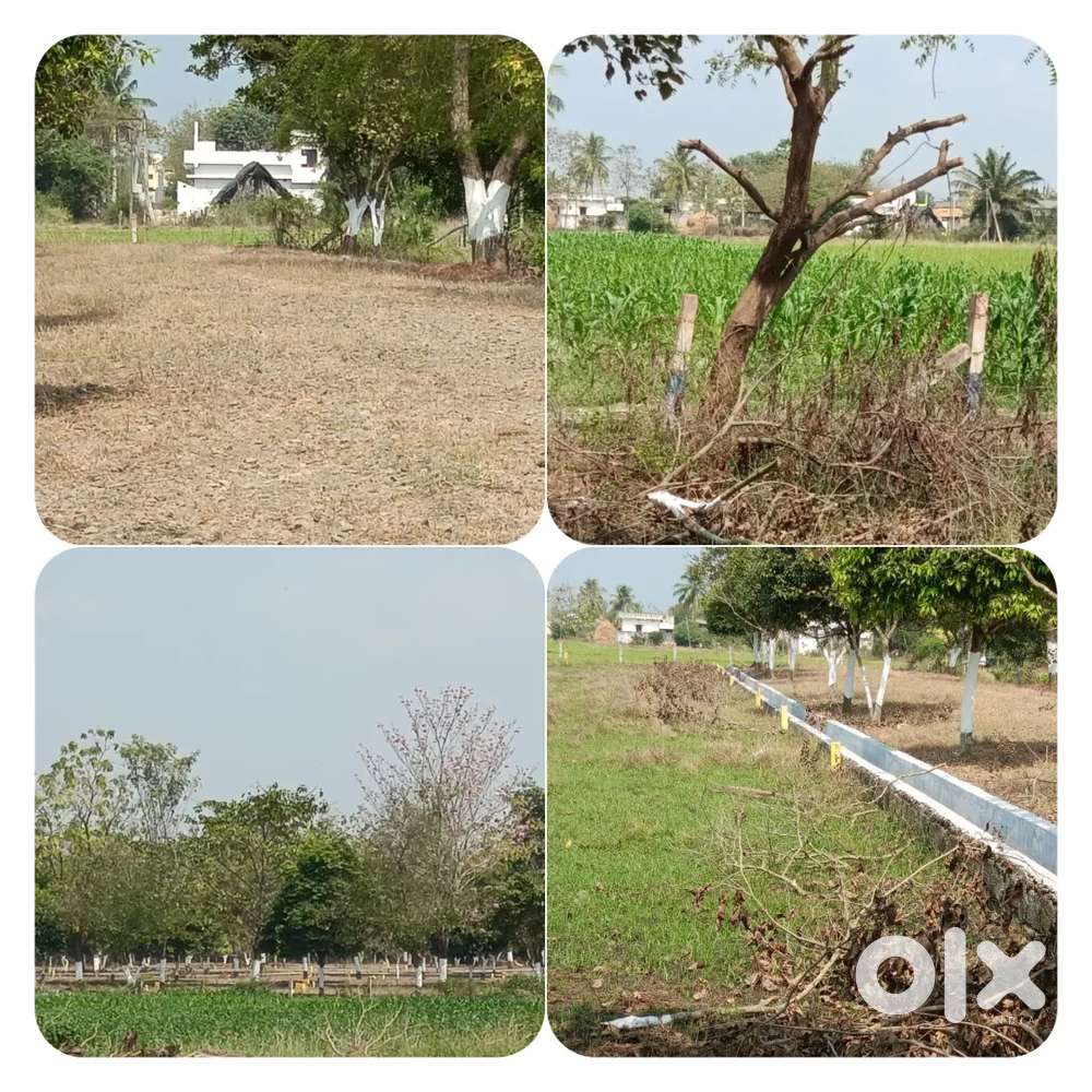 Pottipadu CRDA Plots. 0.5 km to ORR( Outer Ring Road)