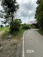 plot for sale thano hills near thano chowk
