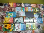 novels 19 books