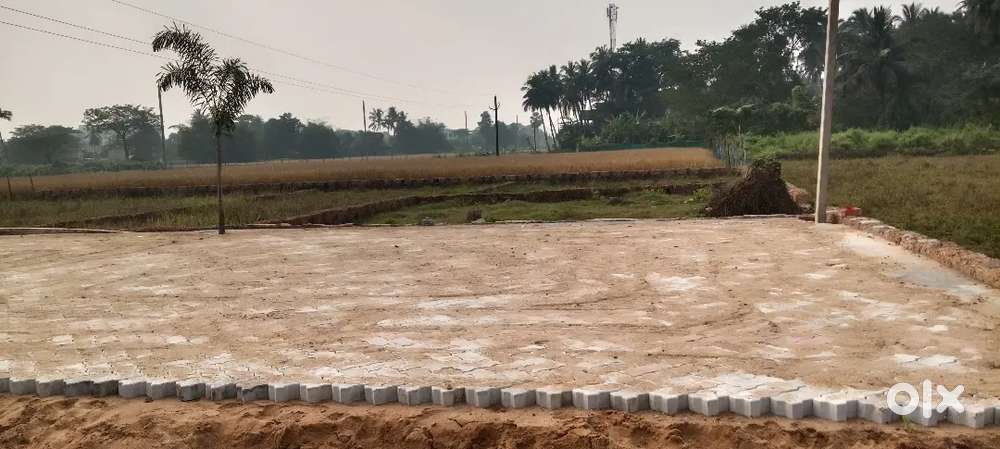 Immediately house purpose