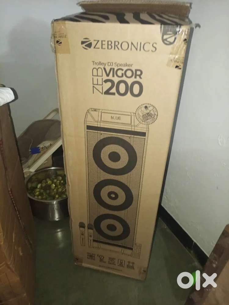 Zebronics DJ speaker ( Trolley DJ Speaker Zeb Vigor 200 )