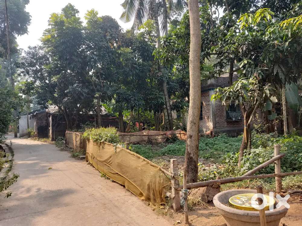 Record LAND-Total Parice