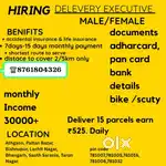 Delivery executive