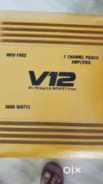 Powerful 1600W Woofer with 2-Channel Amplifier for Sale