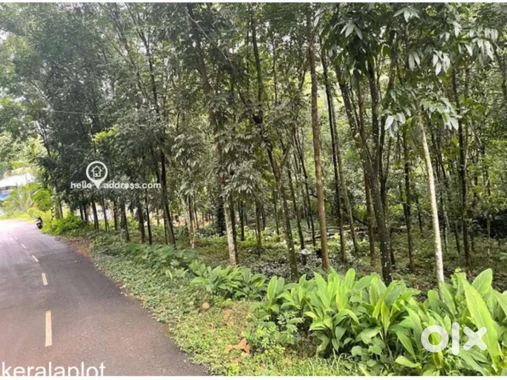 30 cent land for sale kanjirapalli, Manimala