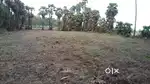 30 cents land for sale in A.Kothappali, Devarapalli
