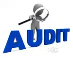 Mistry auditor