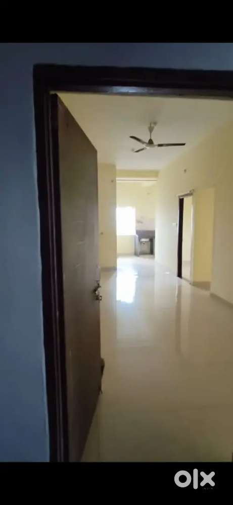 Need A male flatmate urgently