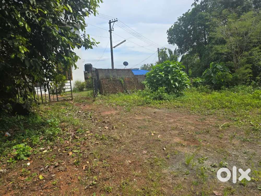 16.5 Cent Square Plot